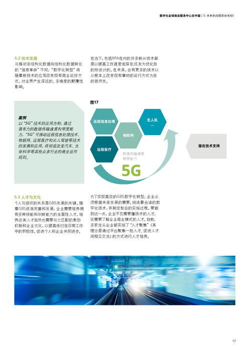 德勤咨询数字化全球商业服务中心在中国的经济与商务信息咨询服务